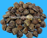 BEST QUALITY FROZEN WHOLE BROWN CLAM SHELL ON in bulk pack